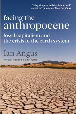 Cover of the book Facing the Anthropocene by Salim Lamrani