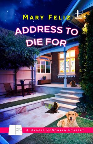Cover of the book Address to Die For by Maggie Wells