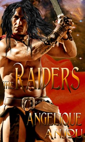 Cover of the book Raiders, The by J.J. Massa