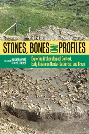 Cover of the book Stones, Bones, and Profiles by Lettie Gavin
