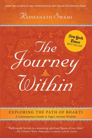 Cover of the book The Journey Within by Evelyn Ashe Delgado