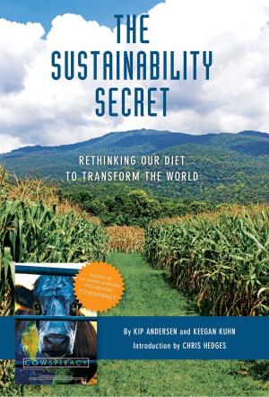 Book cover of The Sustainability Secret