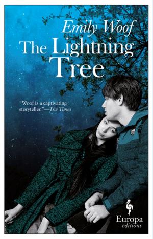 Cover of the book The Lightning Tree by Tom Wright
