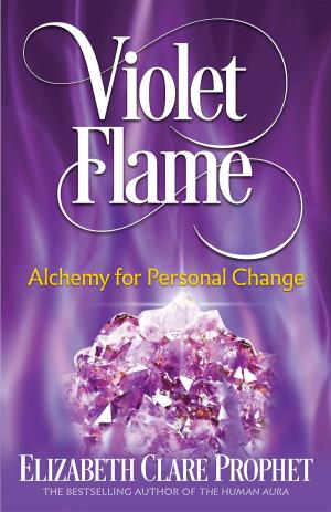 Cover of the book Violet Flame by philippe kaizen
