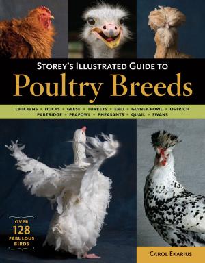 Cover of the book Storey's Illustrated Guide to Poultry Breeds by Lee Mothes