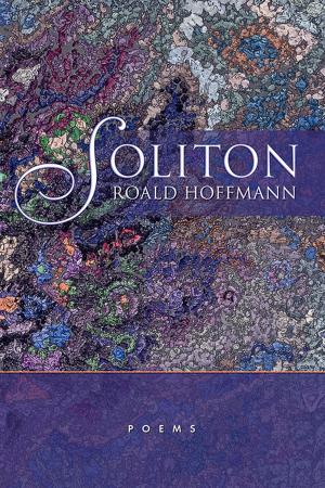 Book cover of Soliton