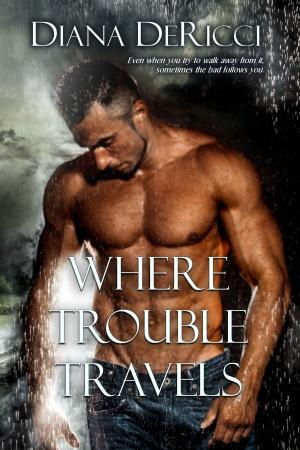 Cover of the book Where Trouble Travels by Anastasia Rabiyah