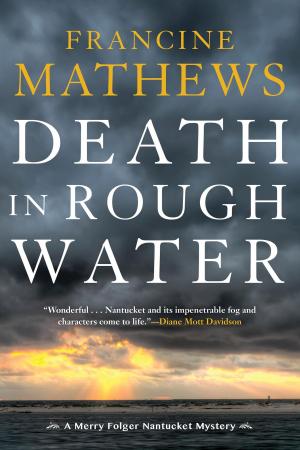 Cover of the book Death in Rough Water by John Straley