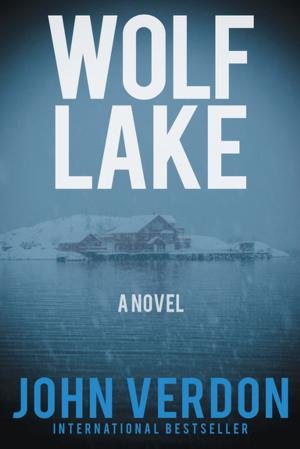 Book cover of Wolf Lake