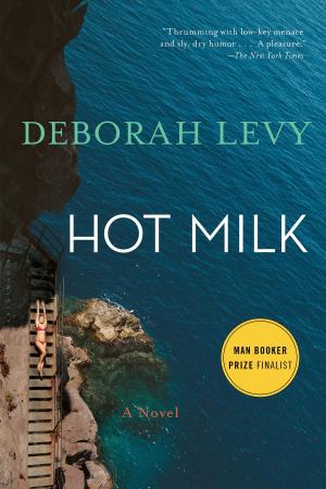 Book cover of Hot Milk