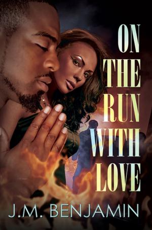 Cover of the book On the Run with Love by Amaleka McCall, Chunichi, Meisha Camm, Tysha