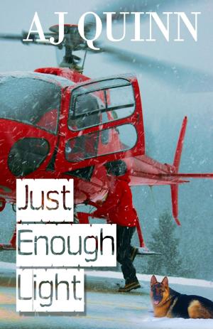 Book cover of Just Enough Light