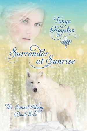Cover of the book Surrender at Sunrise by Ginny Fite