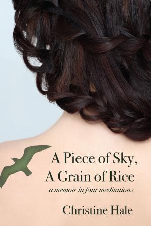 Cover of the book A Piece of Sky, A Grain of Rice by John E. McIntyre