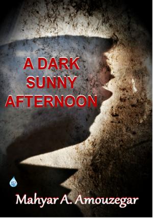 Cover of the book A Dark Sunny Afternoon by Raashan Toomey