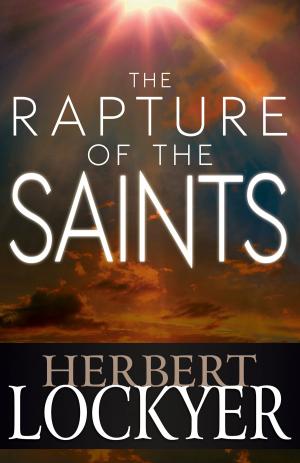 Cover of the book The Rapture of the Saints by Eugene Bach, Brother Zhu