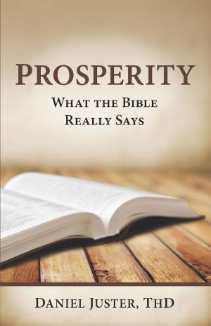 Book cover of Prosperity - What The Bible Really Says