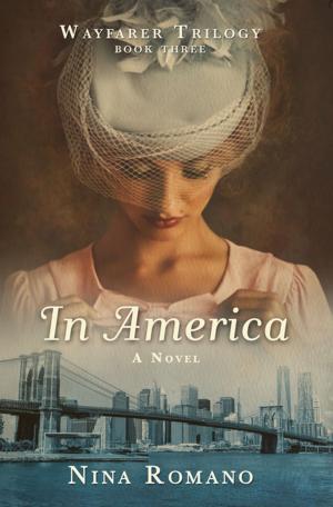 Cover of the book In America by Barbara Hillyard