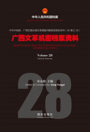 Cover of the book 《广西文革机密档案资料》(28) by Elsan Zimmerly
