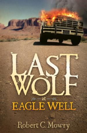 Cover of Last Wolf at Eagle Well