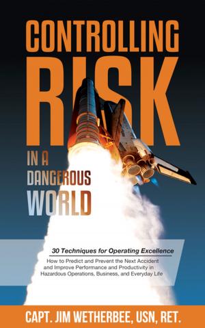 Cover of the book Controlling Risk by Olivia deBelle Byrd