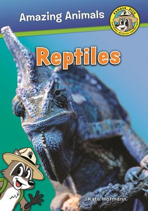 Cover of the book Reptiles by A.J. McForest