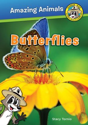 Cover of the book Butterflies by John Himmelman