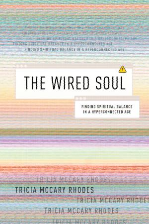 Cover of the book The Wired Soul by Dave Hickman