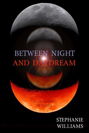 Cover of the book Between Night and Daydream by J. Todd Kingrea