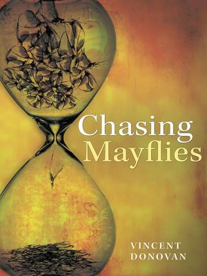 Cover of the book Chasing Mayflies by Lindsey Scholl