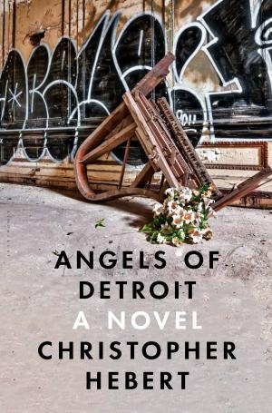 bigCover of the book Angels of Detroit by 
