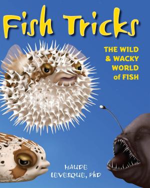 Cover of the book Fish Tricks by Donna Lewis