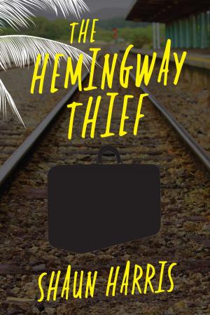 Book cover of The Hemingway Thief