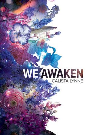 Cover of the book We Awaken by RK Staunton