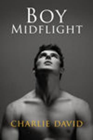 Cover of the book Boy Midflight by Alan Clay