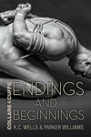 Cover of the book Endings and Beginnings by J. Scott Coatsworth, B.G. Thomas, Jamie Fessenden, Michael Murphy