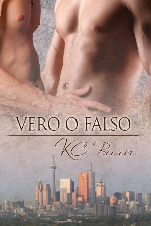 Cover of the book Vero o falso by Robbie Michaels