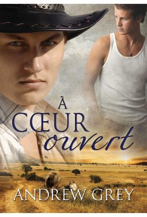 Cover of the book À cœur ouvert by Ari McKay