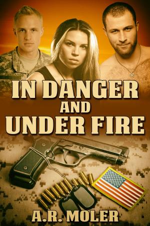 Cover of the book In Danger and Under Fire by David Connor, E.F. Mulder
