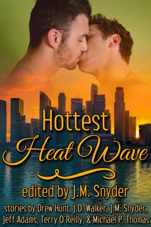Book cover of Hottest Heat Wave