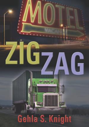 Cover of the book Zig Zag by Jack H. Walters