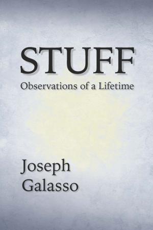 Cover of the book STUFF: Observations of a Lifetime by Howard Turk