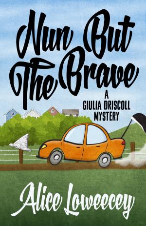 Cover of the book NUN BUT THE BRAVE by Meredith Schorr