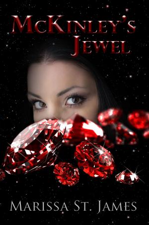 Cover of McKinley's Jewel
