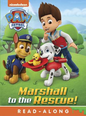 Cover of Marshall to the Rescue (Board) (PAW Patrol)