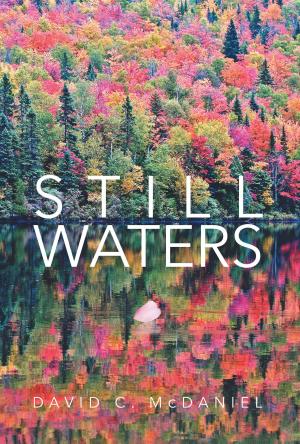 Cover of the book Still Waters by Deb Ann