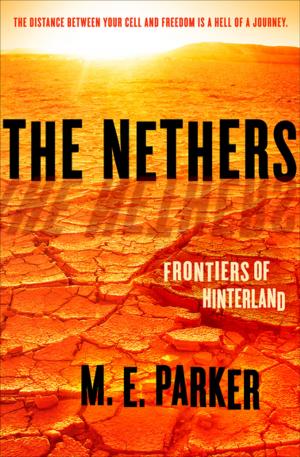 Book cover of The Nethers