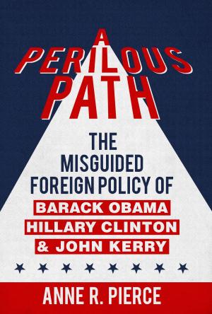 Cover of the book A Perilous Path by Reid S. Cherner