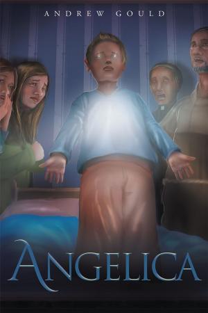 Cover of the book Angelica by Ryan Engle