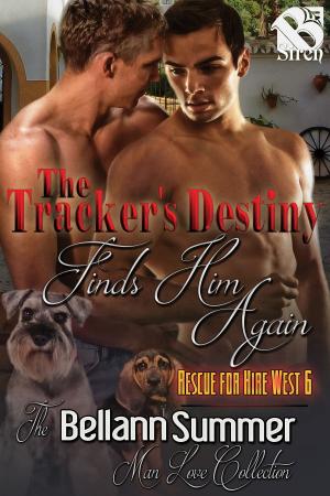 Book cover of The Tracker's Destiny Finds Him Again